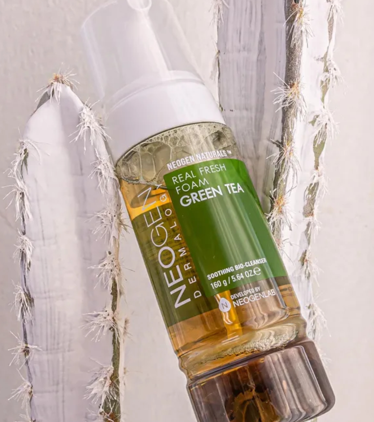 Neogen - Espuma de Limpeza Suave Dermalogy Real Fresh Foam Green Tea