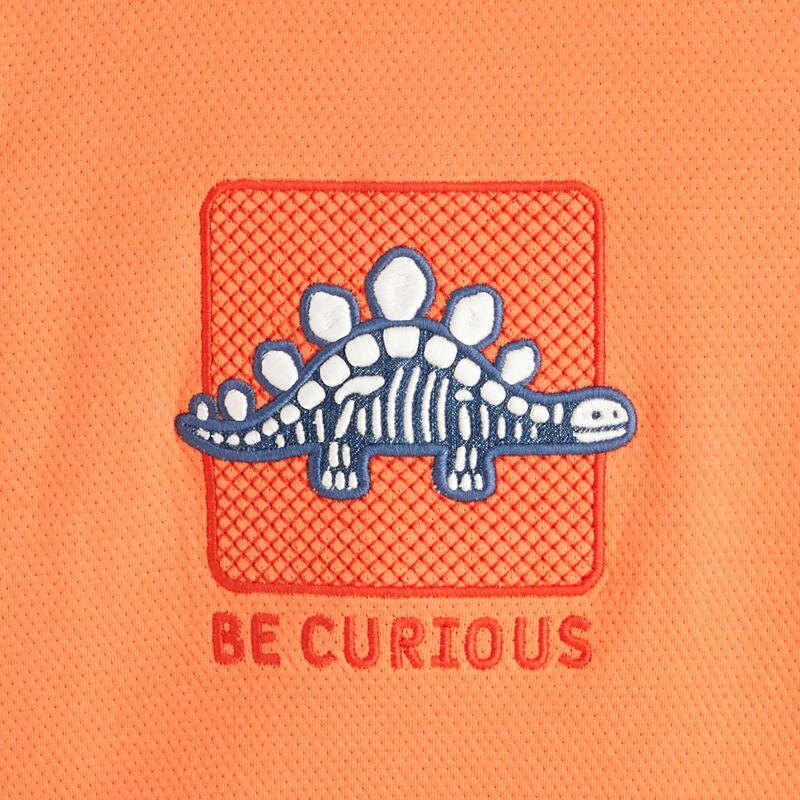 Sweat maille fantaisie dinosaure orange bébé garçon Orange
