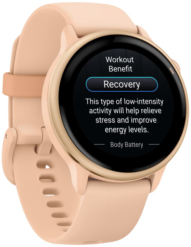 Garmin Vivoactive 6 smartwatch 42mm (Pink Dawn)