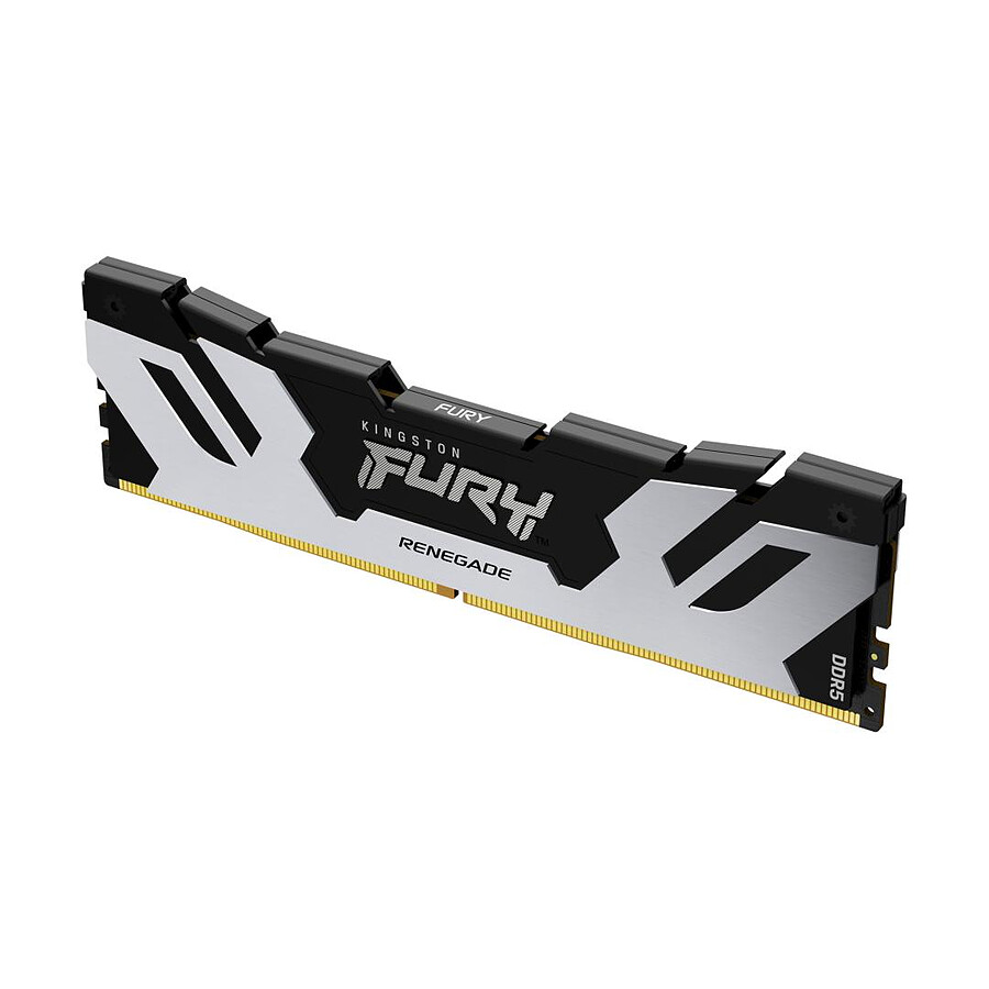 Kingston Fury Renegade Silver - 1 x 16 Go (16 Go) - DDR5 6000 MHz - CL32