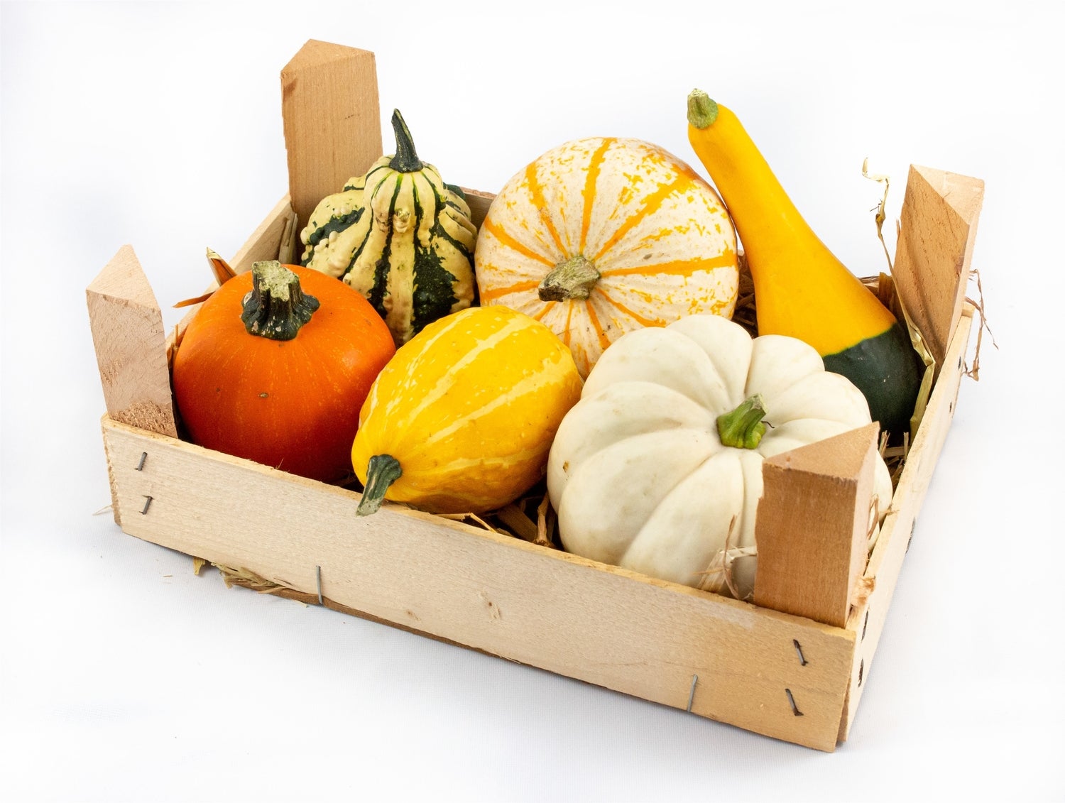 Houtenkistje met kalebassen (Cucurbita)