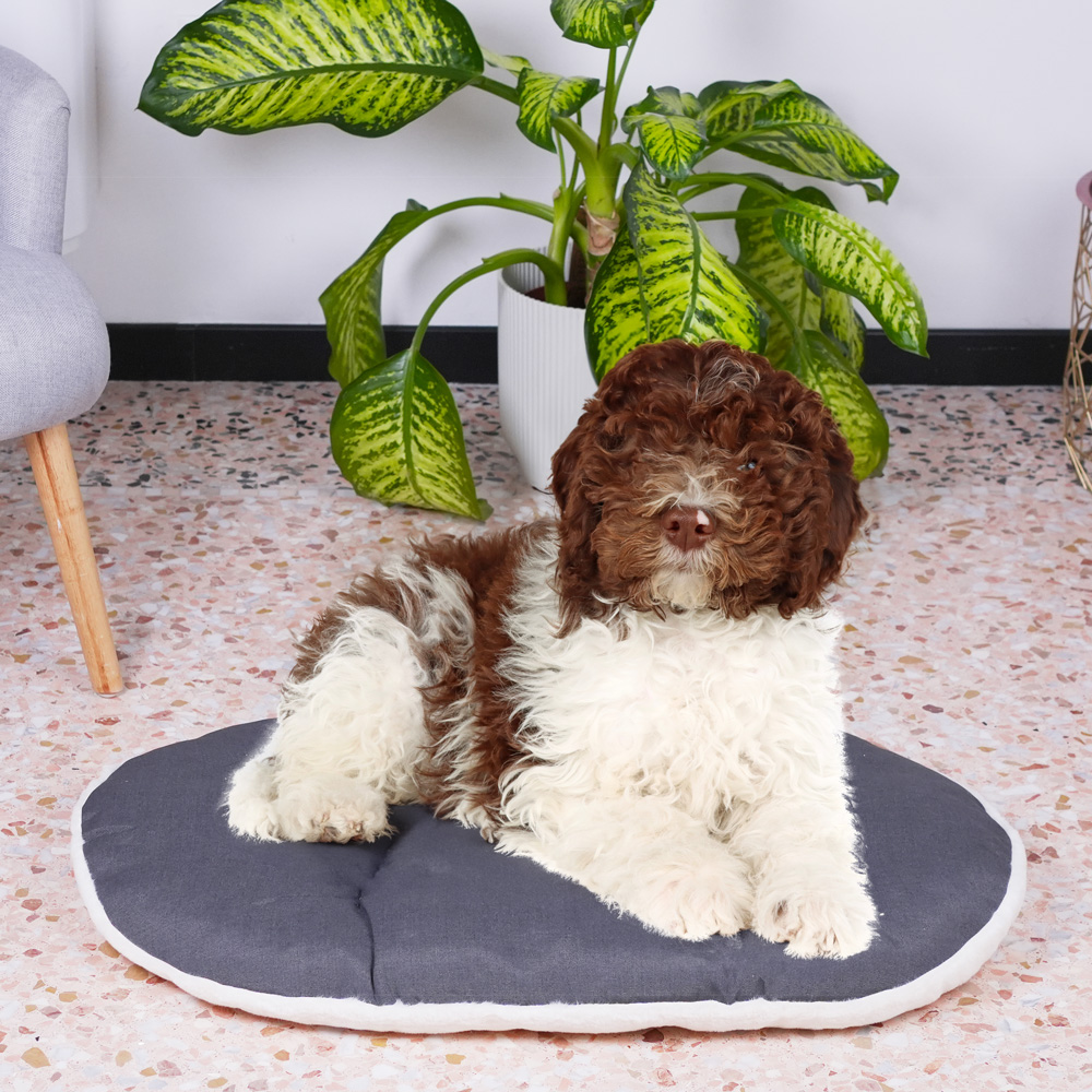 Ferplast panier chien chat - coussin pour chien chat - lavable en machine - tapis chien chat pour niches et voitures - lit pour