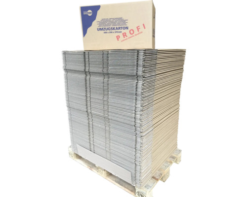 Cargo Point Pallet Verhuisdoos Professional 