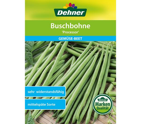 Dehner Samen Buschbohne 'Processor'