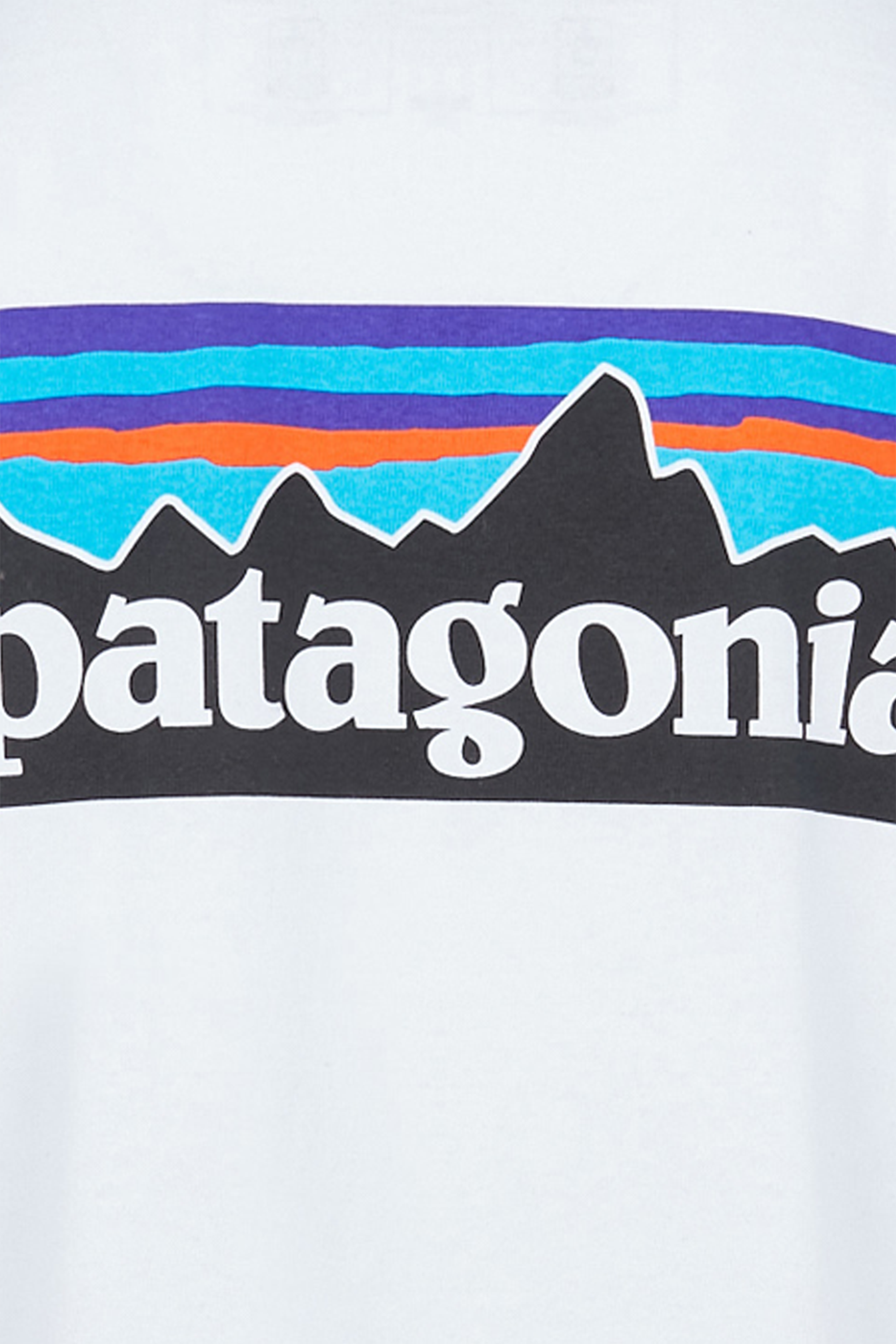 PATAGONIA T-shirt  Blanc