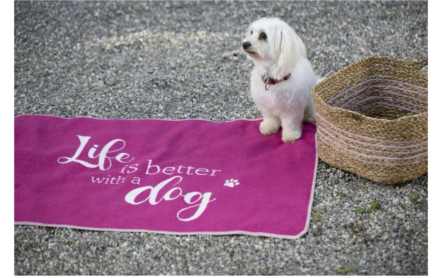 Hunde-Decke Life is better, 70 x 90 cm, PinkHaustierdecke