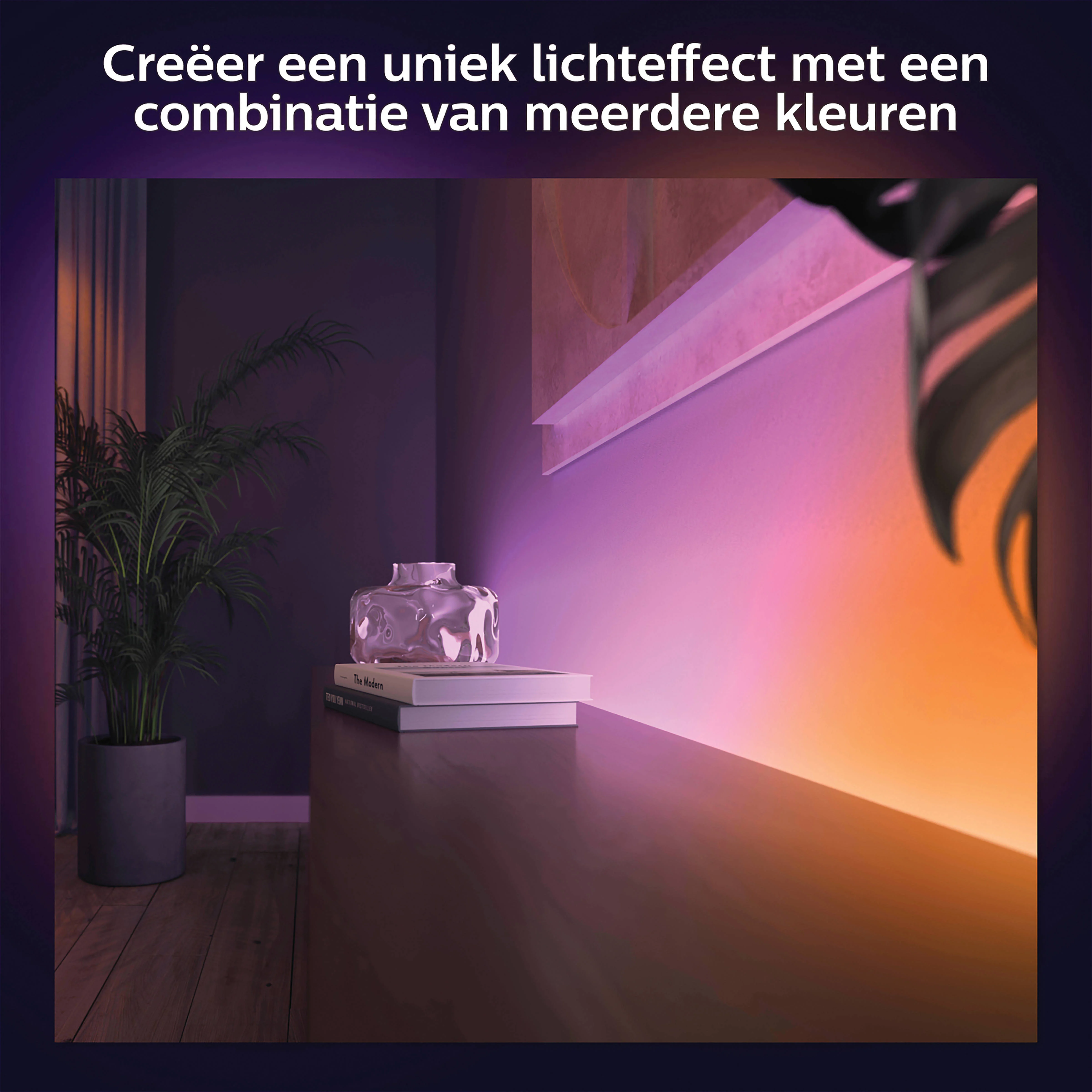 Philips Hue gradient lightstrip - wit en gekleurd licht - 2m - basis