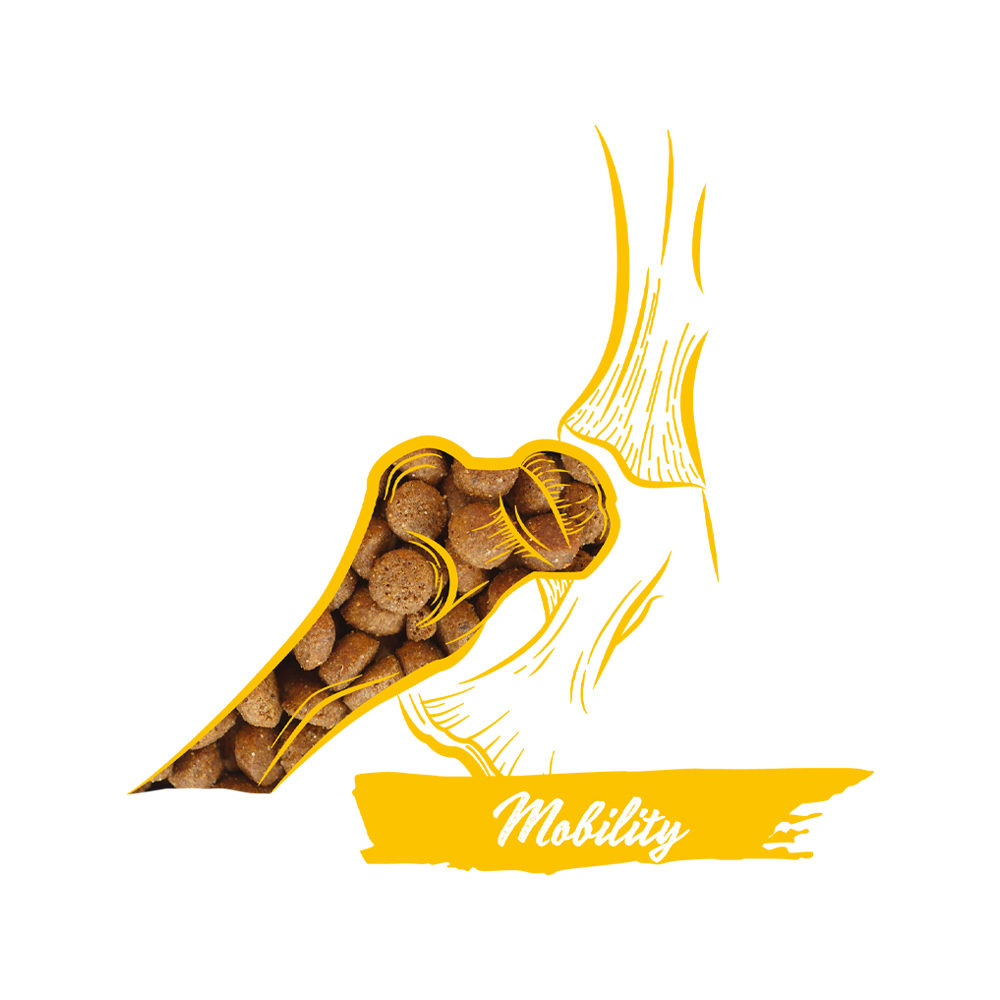 Calibra Dog Expert Nutrition Mobility