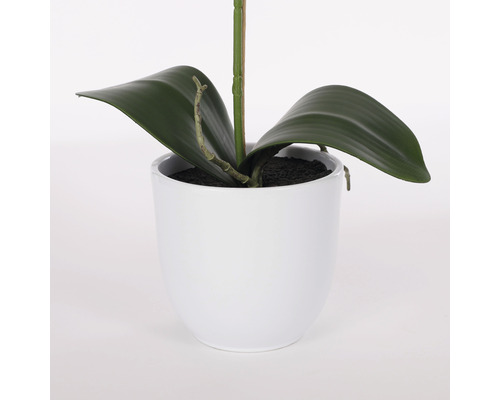 Kunstorchidee, 60 cm hoog, wit
