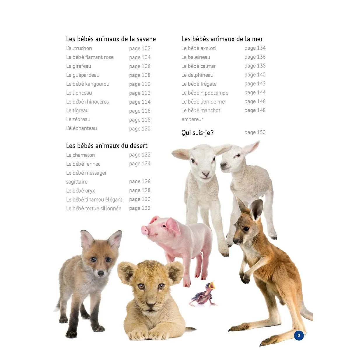 Prologue Mon Grand Animalier des Bébés Animaux