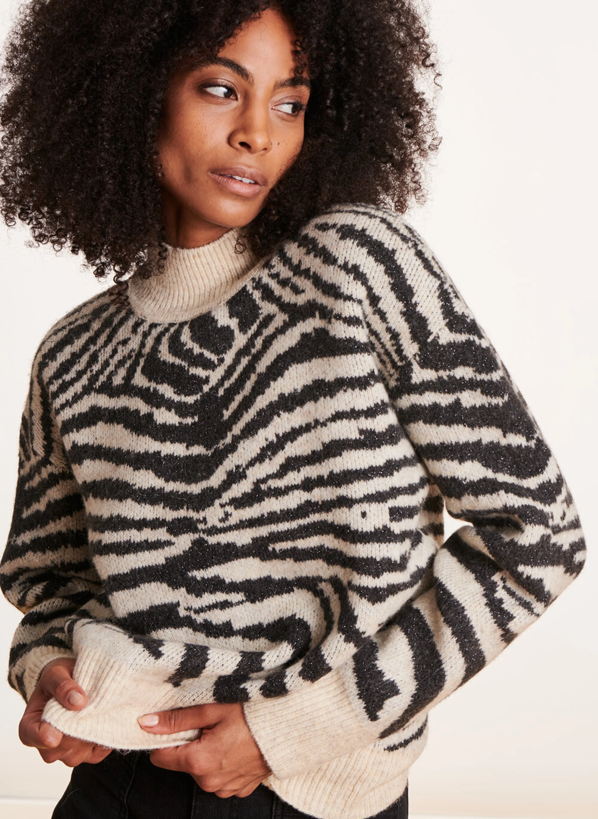 Pull col montant zèbre | Noir