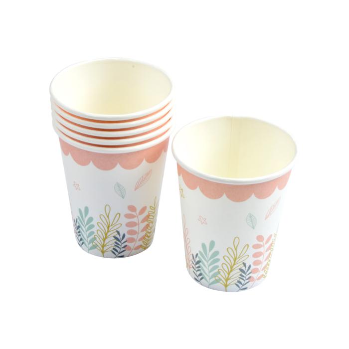 SET 6 GOBELETS CARTON 25CL PRINCESSE NATURE