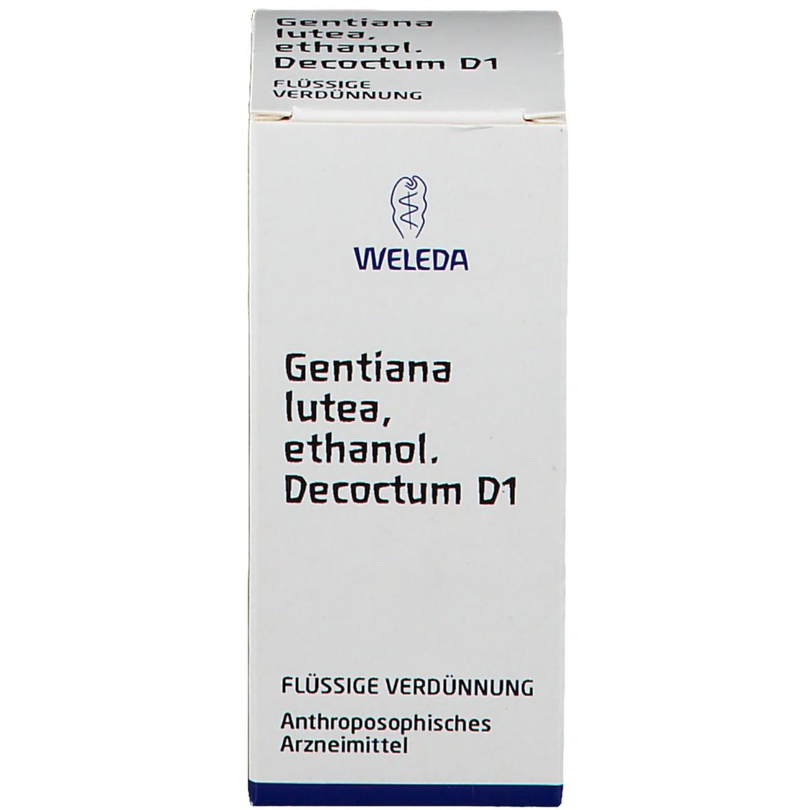 Gentiana Lutea D1