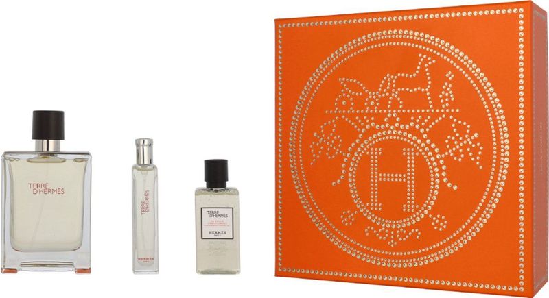 Hermes - Terre - Eau De Parfum - 100ml - Houtachtig - Citrus