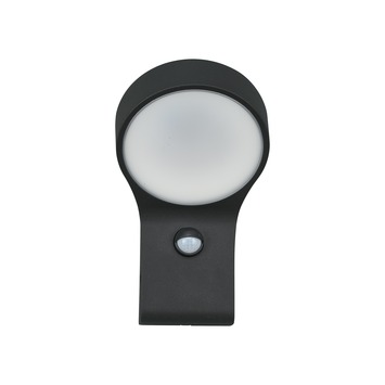 GAMMA buitenlamp Whiston zwart met bewegingssensor