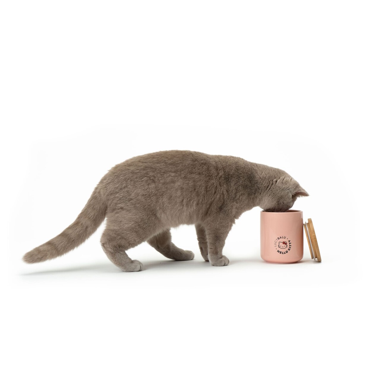 LucyBalu SNACK BAR Katzen Leckerlidose - Hello Kitty Edition