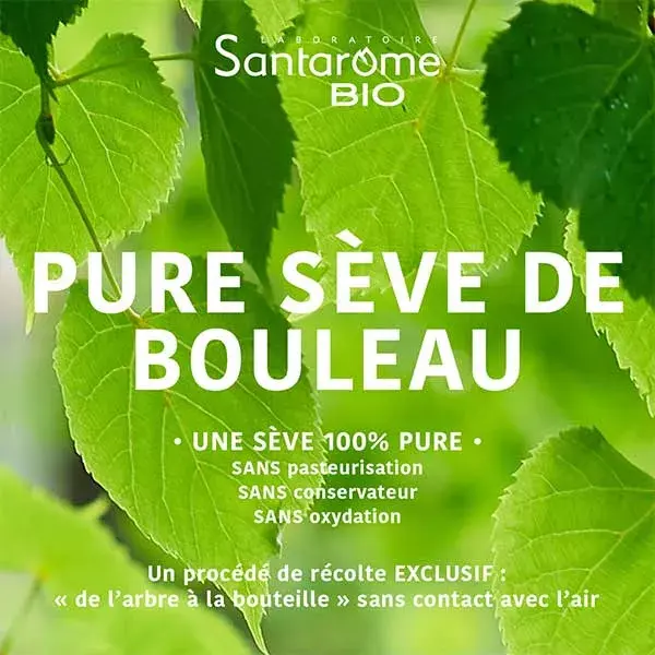 Santarome Orgânico - Seiva de Bétula Orgânica Pura - Desintoxica e Remineraliza - 500ml