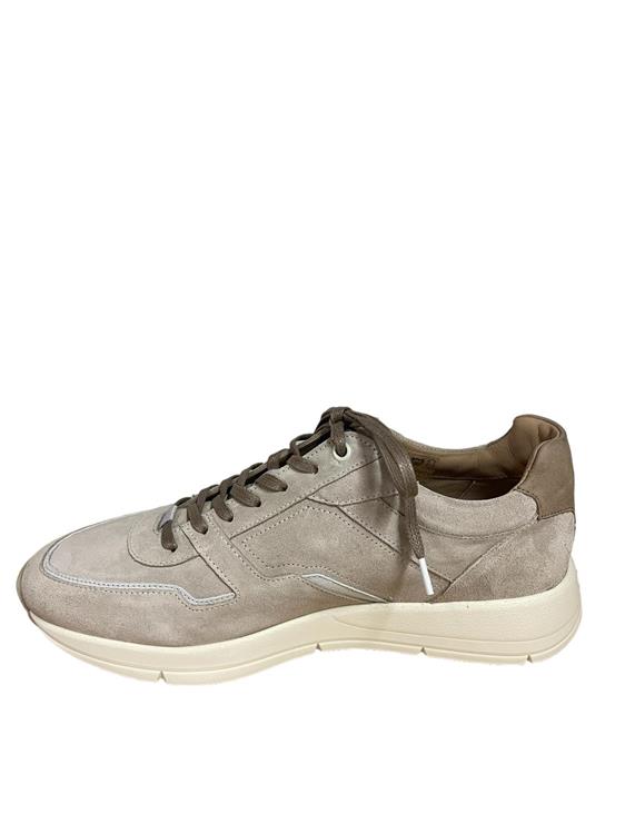 Greve 7280 Walker licht beige [03 2928 fantasma]