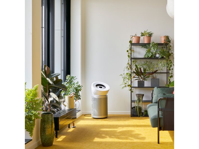 Dyson Luftreiniger HEPA Big Quiet Formaldehyde BP06 100 m² Luftreinigungsgerät