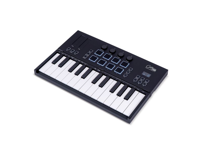 Carry-on by Blackstar Keyboard Controller Folding Controlle Faltbares MIDI-Controller-Keyboard mit 25 Tasten