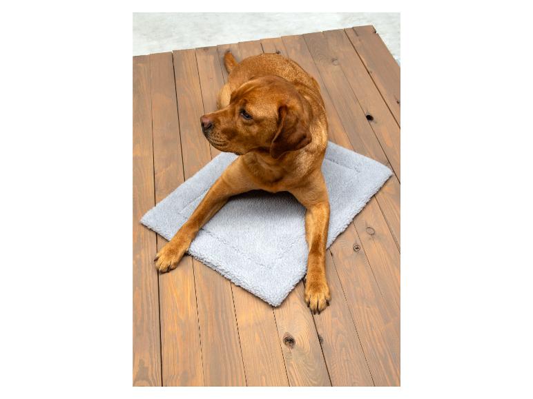 Zelfverwarmende honden- of kattenmat