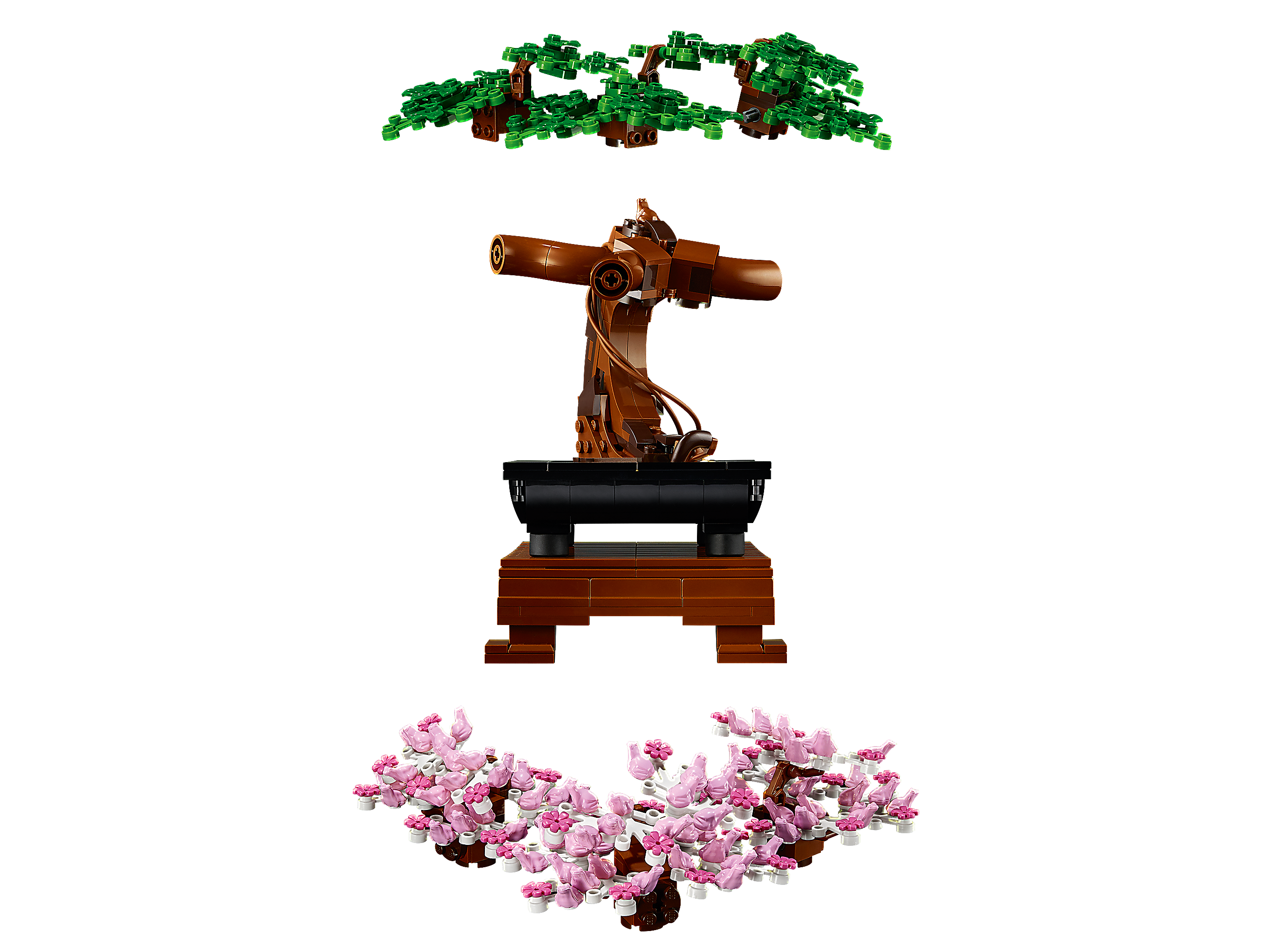 Bonsai 10281