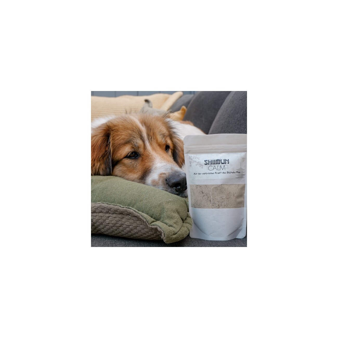 Marsapet Shiimun Calm Pulver für Hunde und Katzen mit Shiitake - 120g