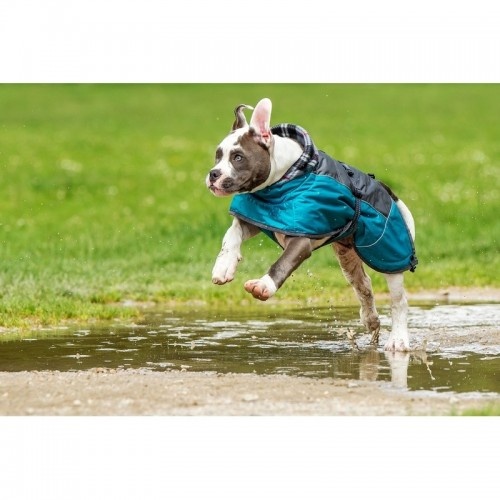 Capa de chuva impermeável Chiara Jasper para cães