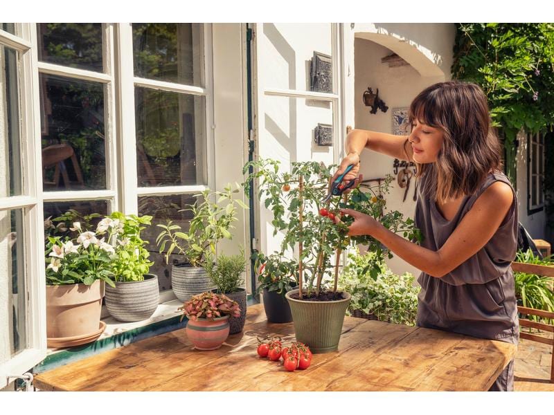GARDENA Gartenschere FreshCut Zum Ernten von frischen Kräutern