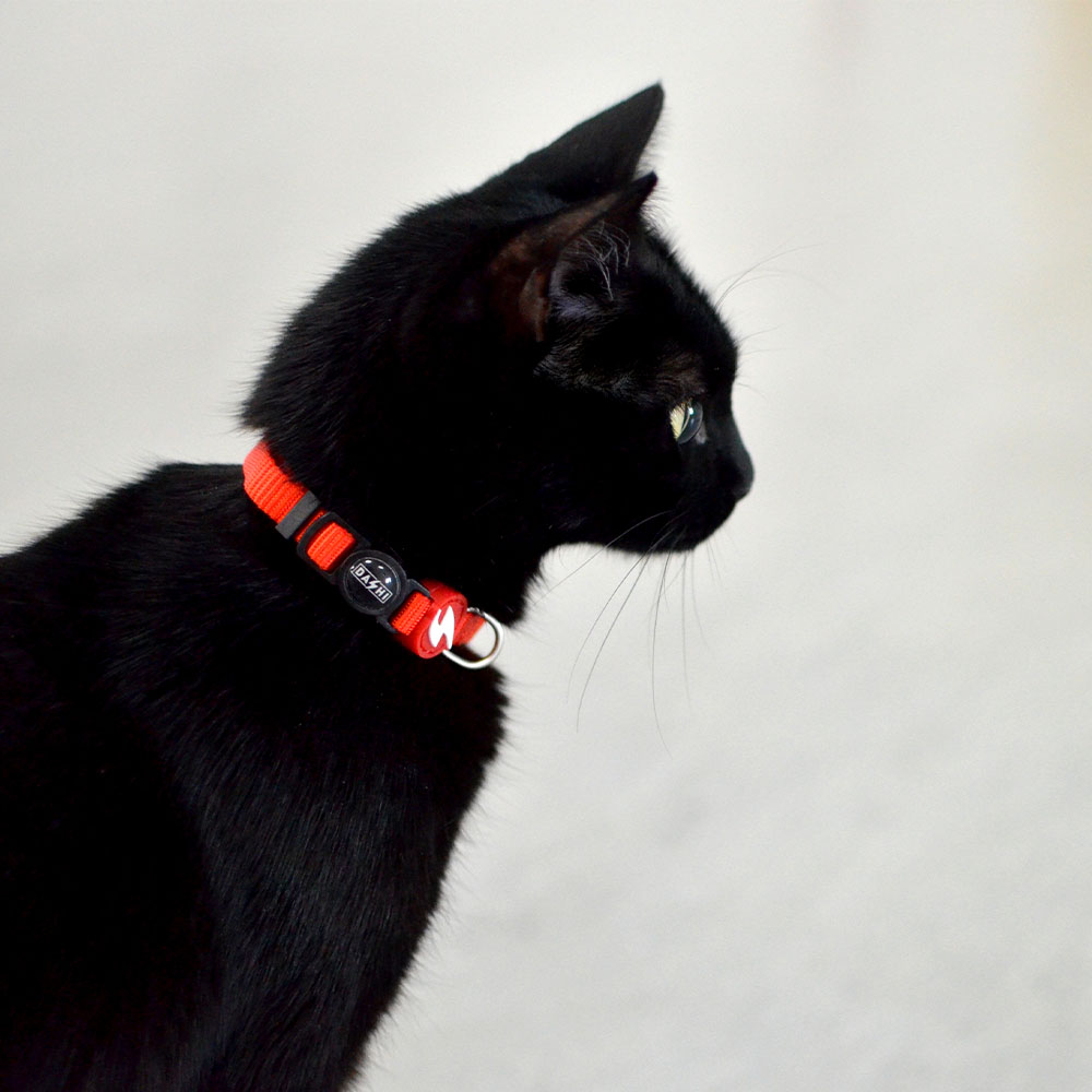 Coleira vermelha de náilon para gatos