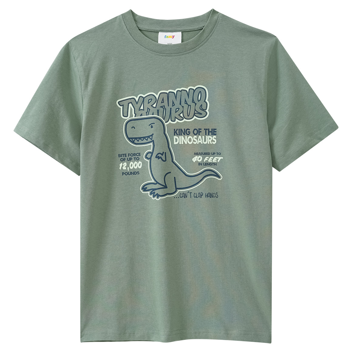 Famy 3 Jungen T-Shirts mit Dino-Prints salbei / hellgrün / blau