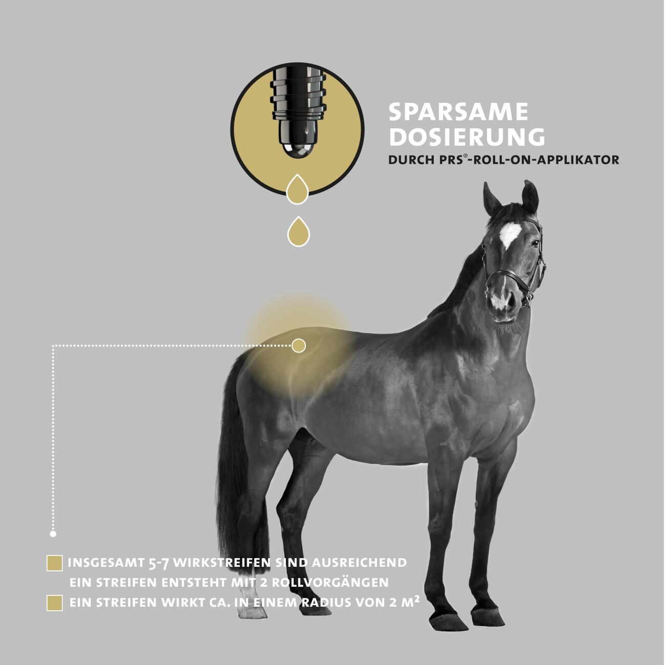 Peticare Anti-Kriebelmücken Gnitzen Roll-On für Pferde, Sommerekzem vorbeugen