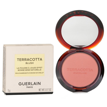 Guerlain Terracotta Blush The Natural Healthy Glow Power Blush