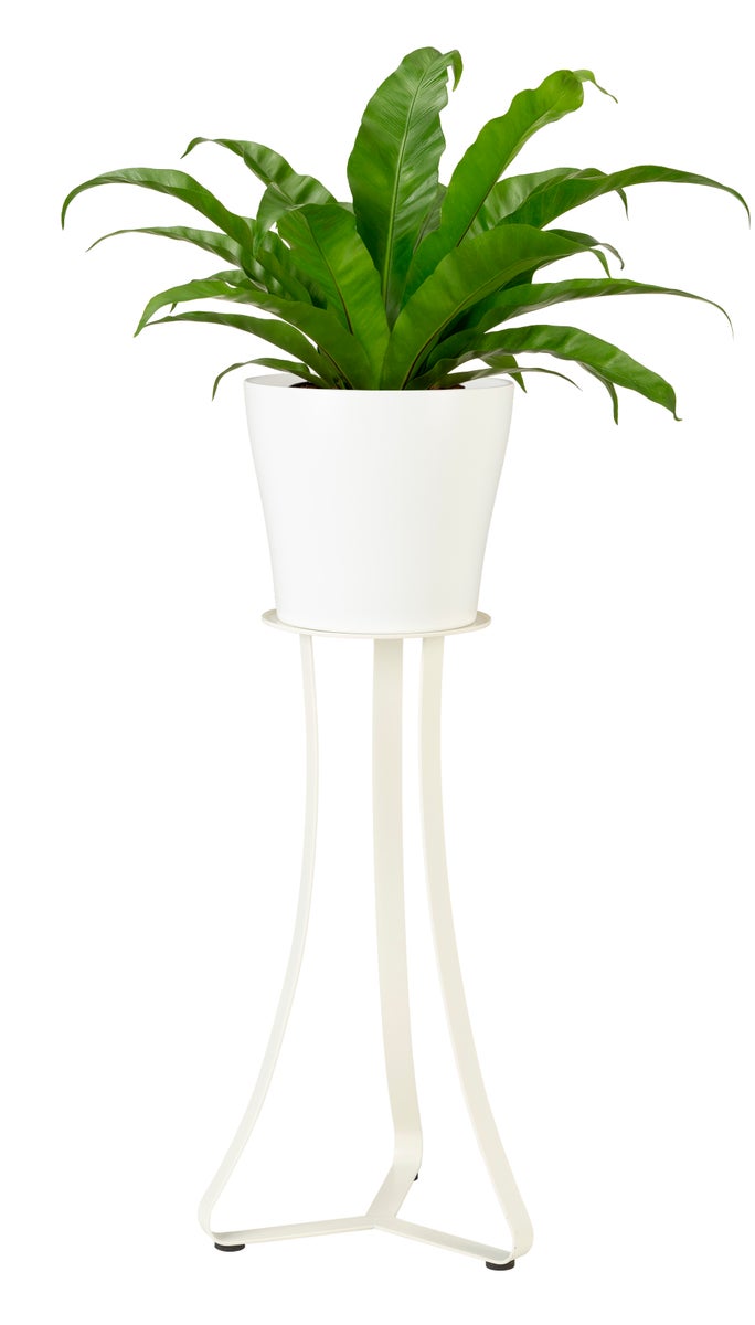 Scheurich Paris 51, plantenstandaard/bloemenstandaard/bloempotstandaard/sokkel van metaal, kleur: Wit Mat, 24 cm diameter, 51,4 cm hoog, 29,6 l inhoud.