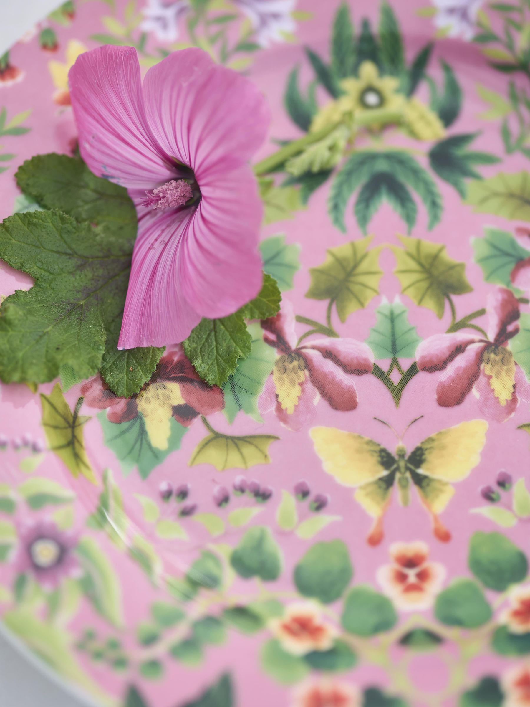 Designers Guild 4 Ikebana Damask bijgerechtbordjes