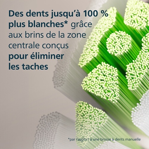 Brossette dentaire Philips Sonicare HX6062/87 Optimal White Lot de 2 Blanc