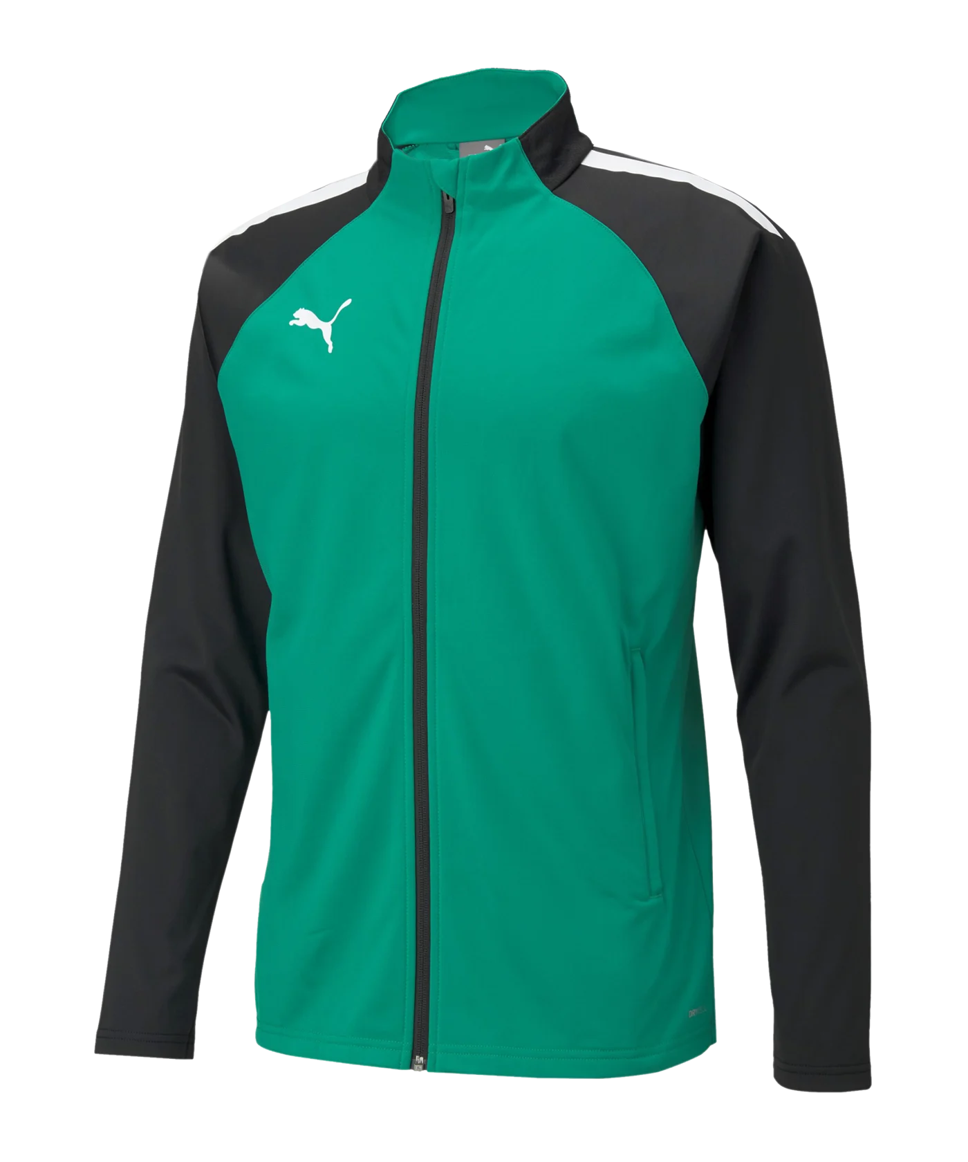 PUMA teamLIGA Trainingsjacke Kids Grün Schwarz F05