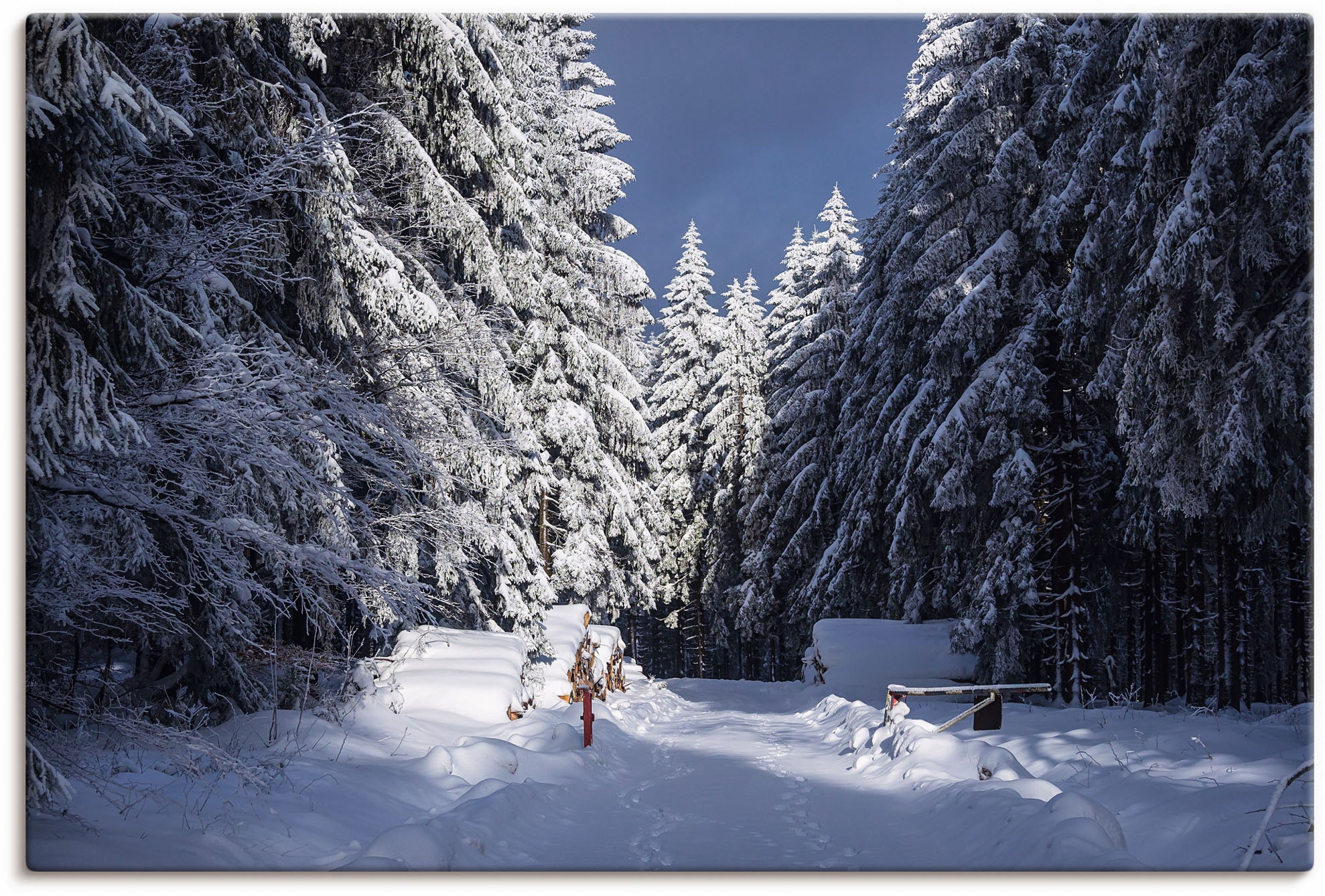 Artland Leinwandbild »Winter im Thüringer Wald II« Waldbilder 1 Stk. tlg. auf Keilrahmen gespannt