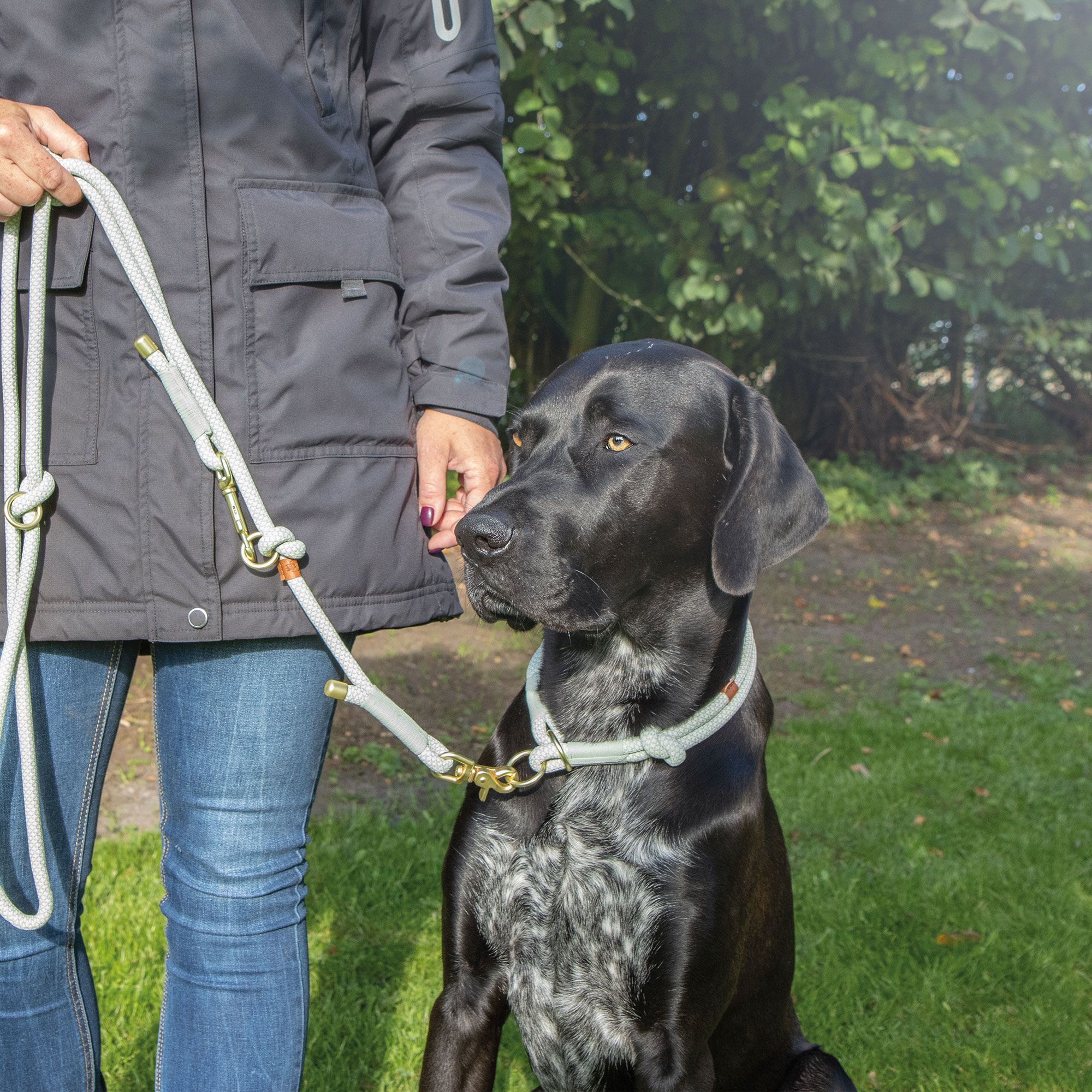 Soft Rope Zug Stopp  - Hundehalsband mit Zugbegrenzung