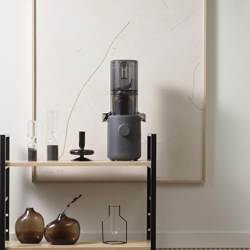 Hurom Slow Juicer | Entsafter Gemüse und Obst | H310 | Leicht zu Reinigen & Leiser Motor Elektrischer Entsafter mit Siebfilter | 150 Watt | BPA Frei | Schlankes Design | 220ml, Anthrazit