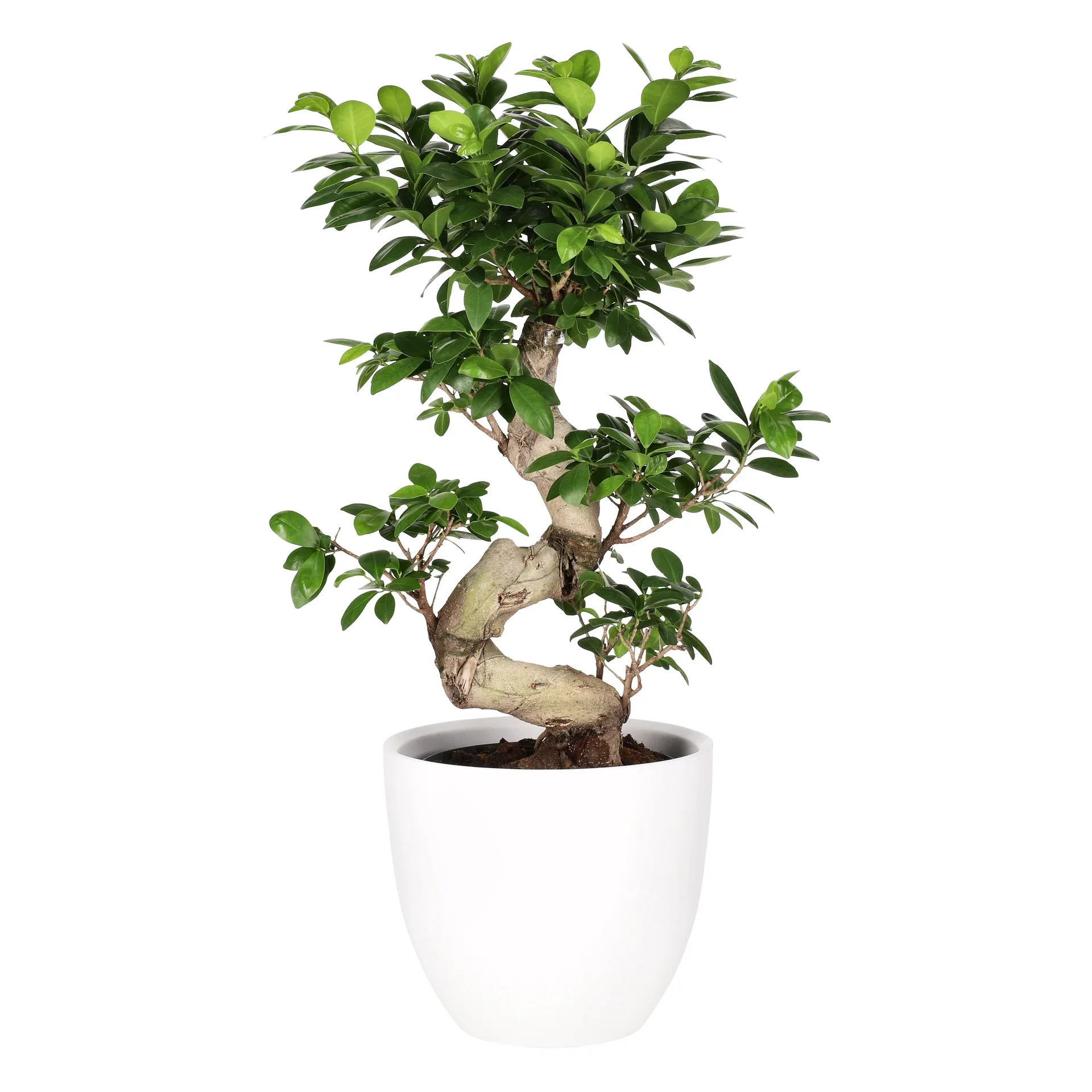 Potte Fia Ø24 cm