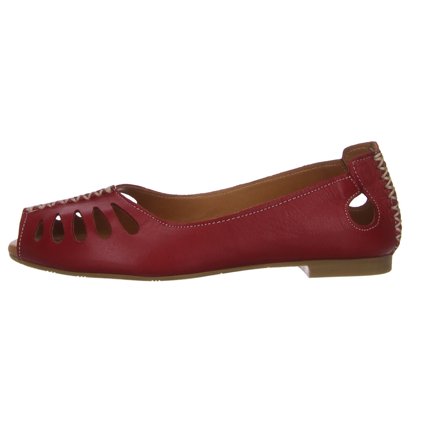 elbandi Peeptoe rot rot