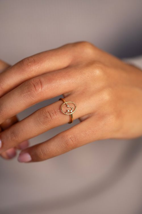 Zodiac minimalistische ring