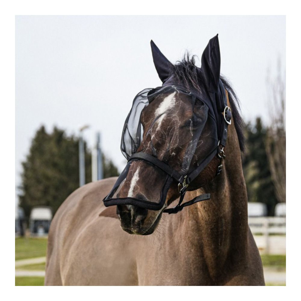 Equitheme ANTI UV - Licol + masque anti-mouches noir