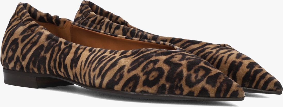 bruine billi bi ballerina's a8024