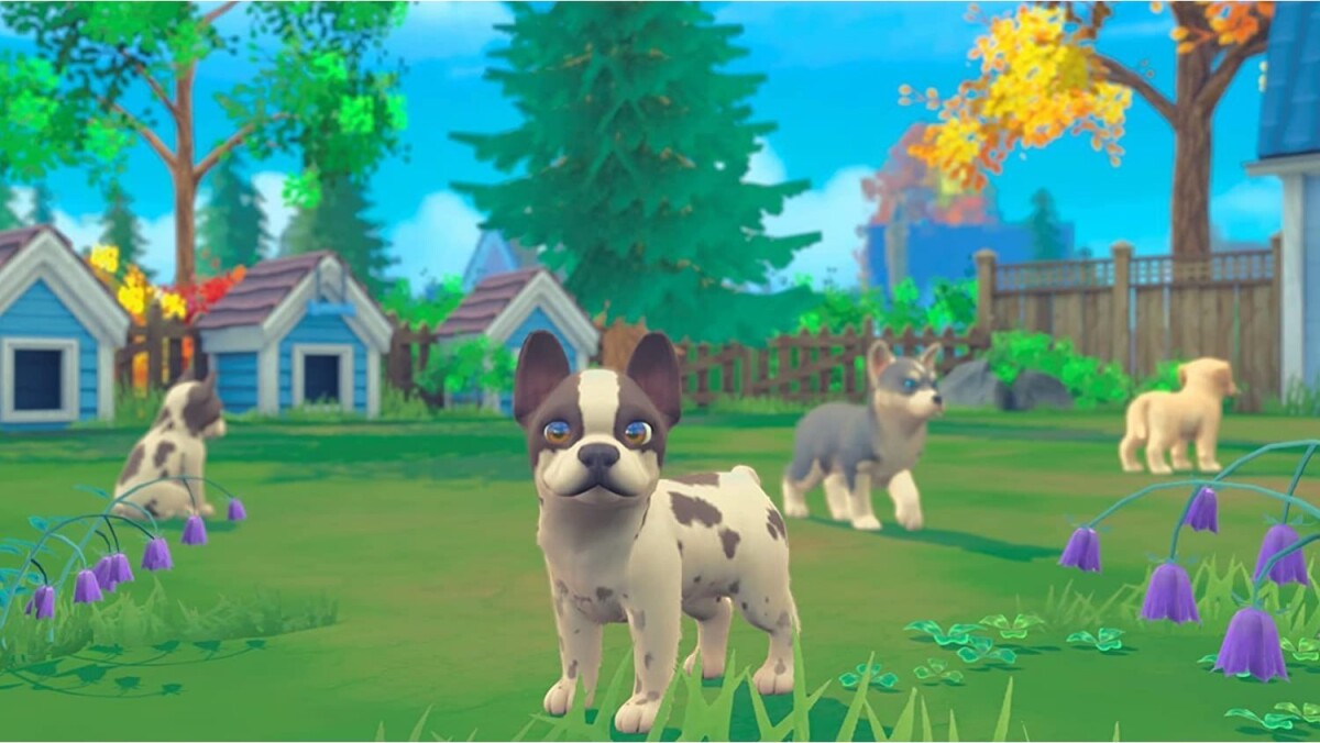 My Universe - Pets Edition Bundle - Nintendo Switch