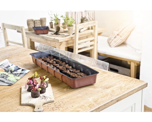FloraSelf binnenkas, vensterbankkas 55x17x11 cm, inclusief 36 turfkorrels en koepel