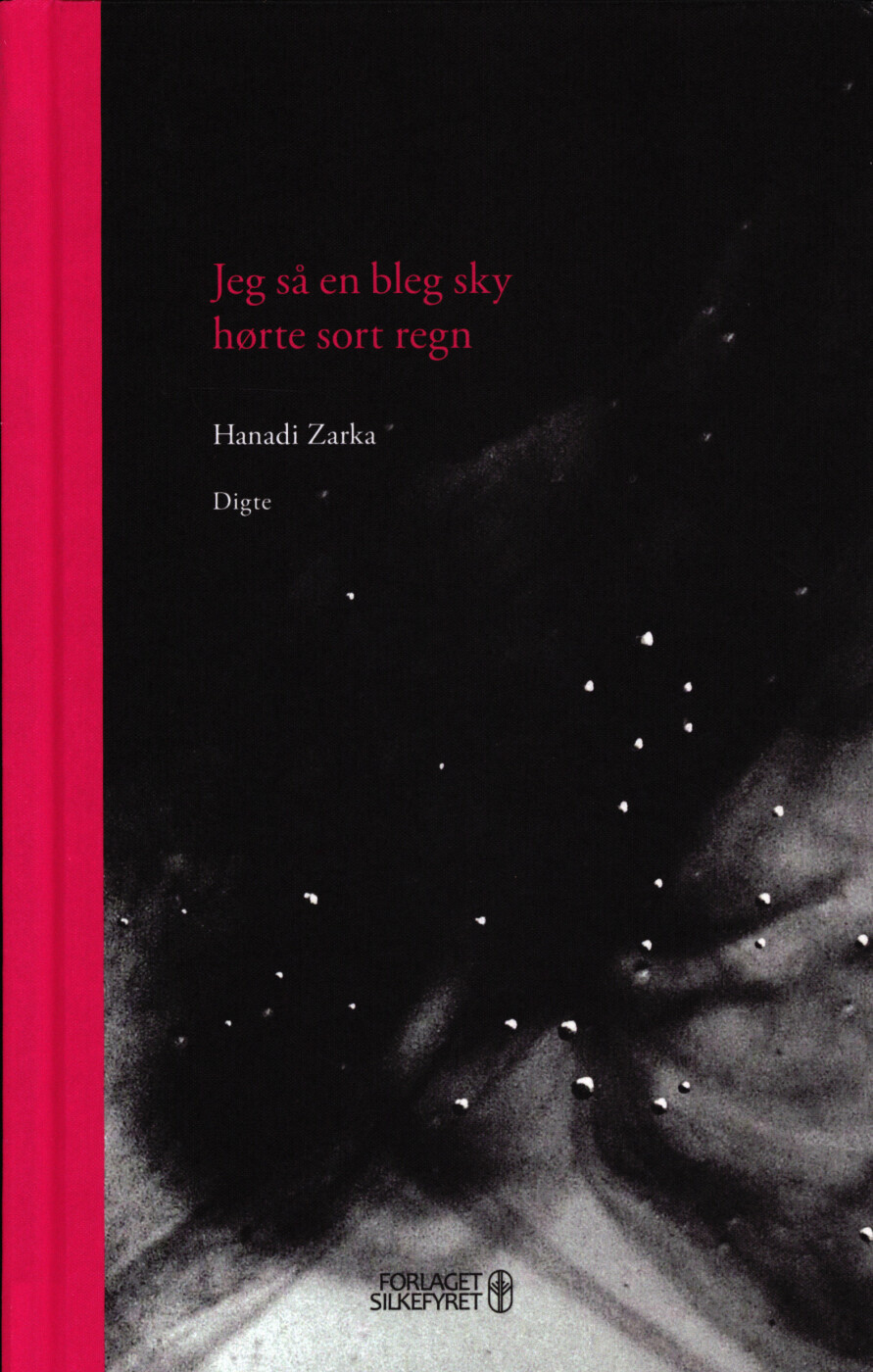 Jeg Så En Bleg Sky, Hørte Sort Regn - Hanadi Zarka - Bog
