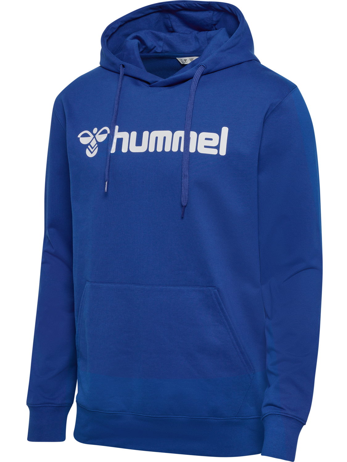 hmlGO 2.0 LOGO HOODIE
