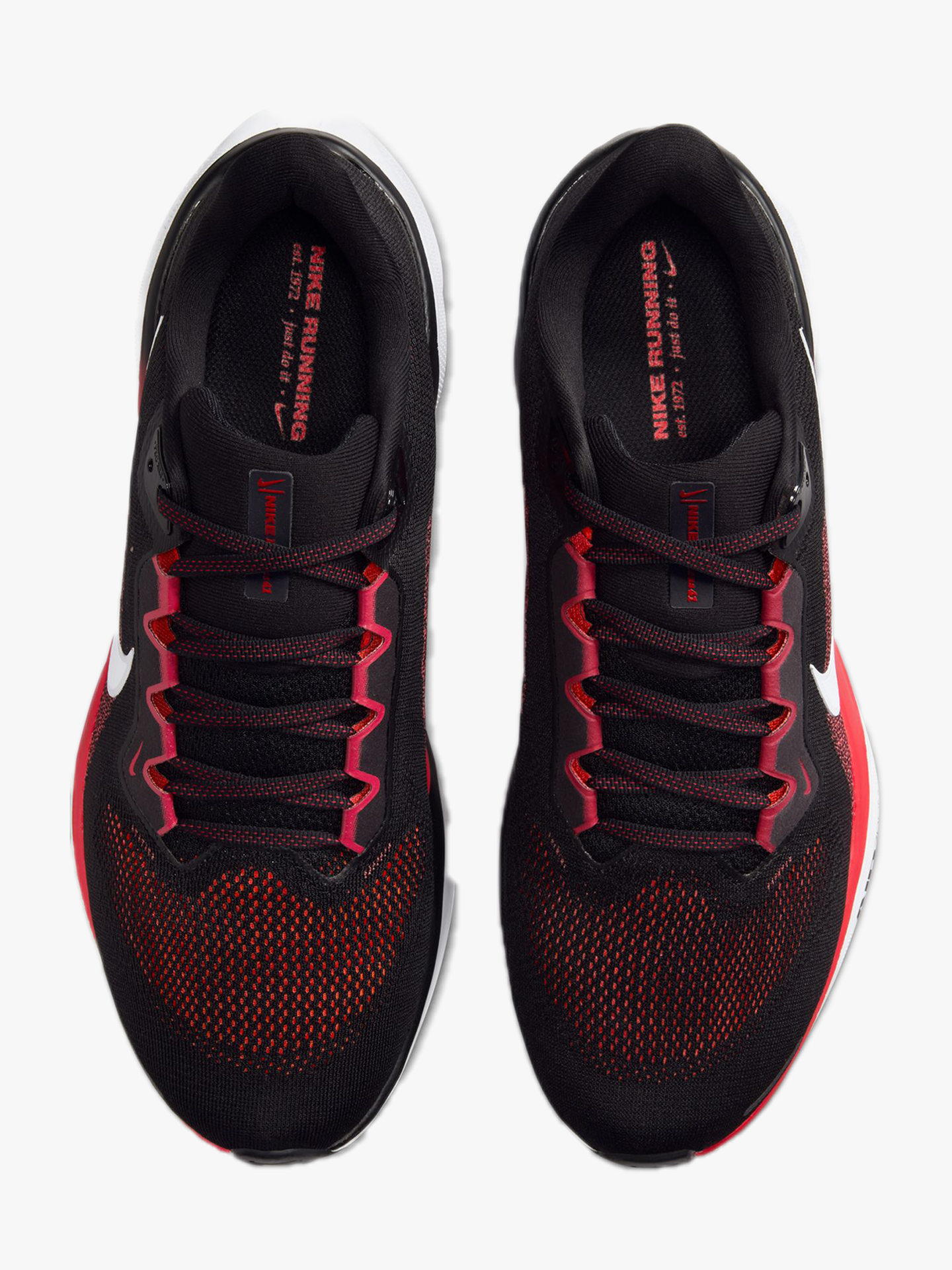 Pegasus 41